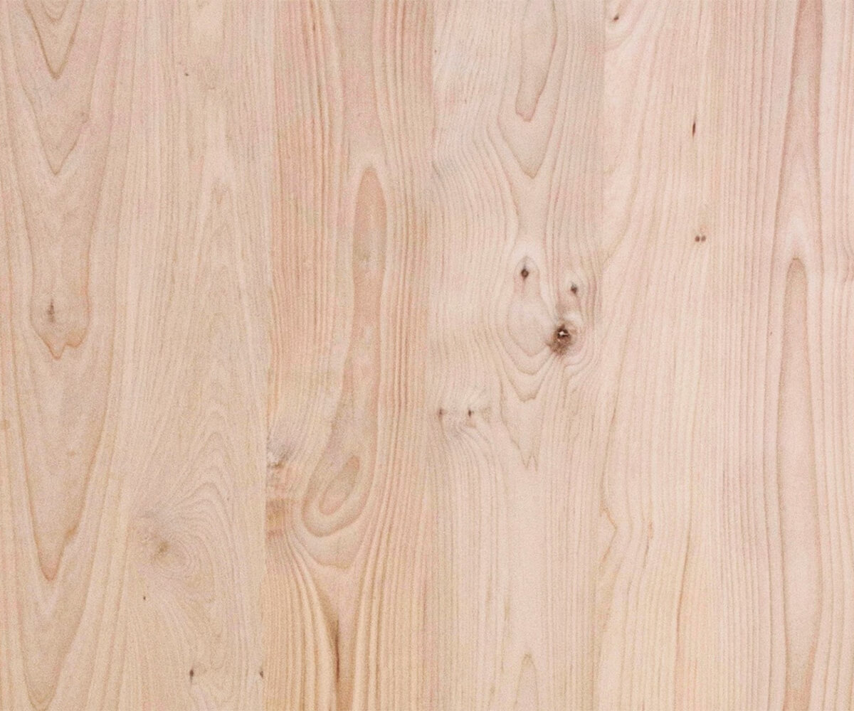 Ash wood sample