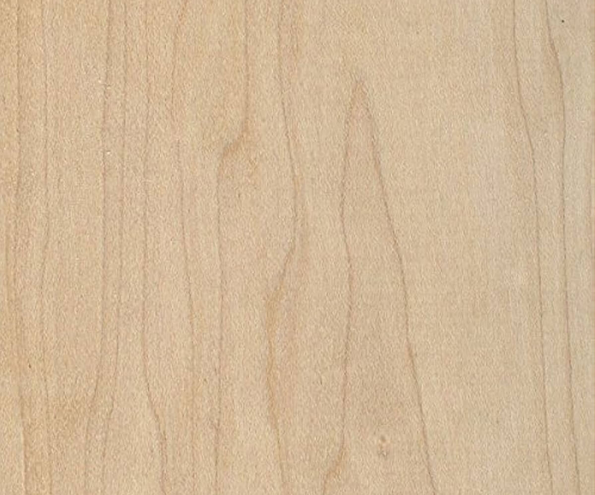 Maple wood sample