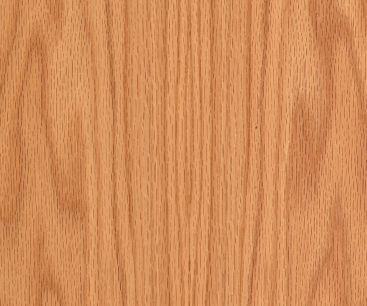 Red Oak wood sample