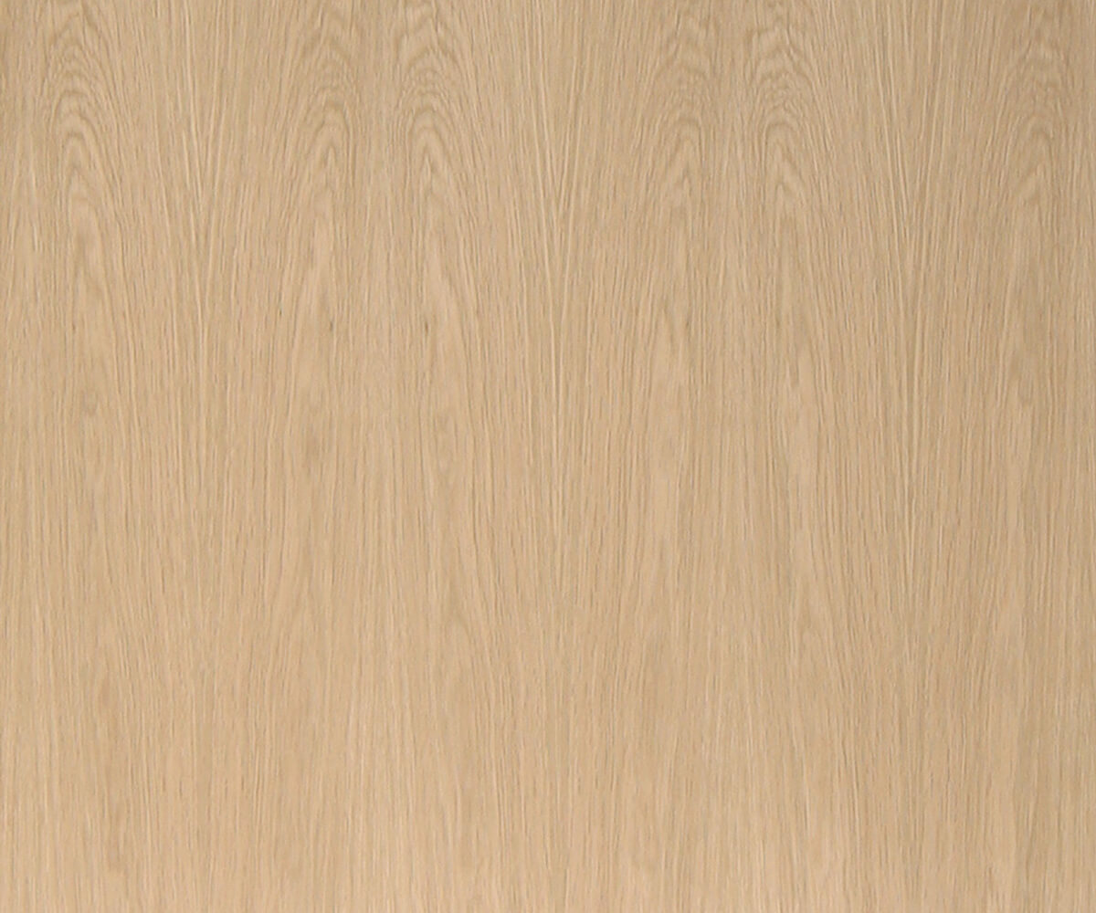 White Oak wood sample
