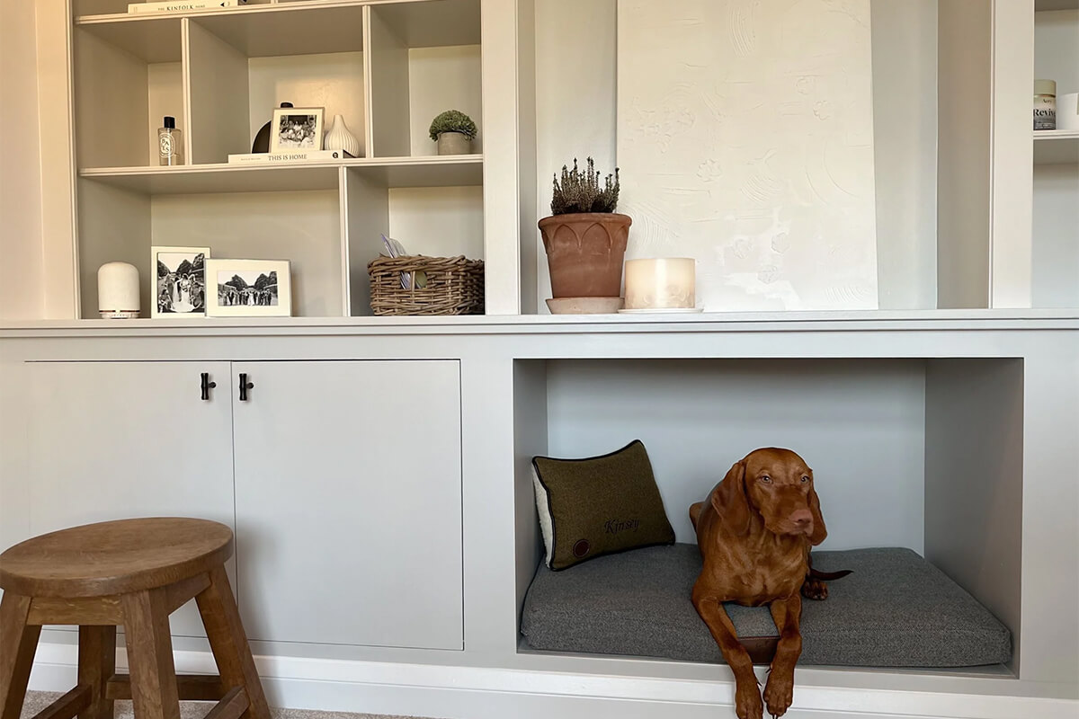 The design rules that make pet spaces look intentional​