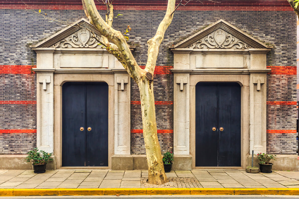 What’s the Best Wood for an Exterior Door in Full Sun?