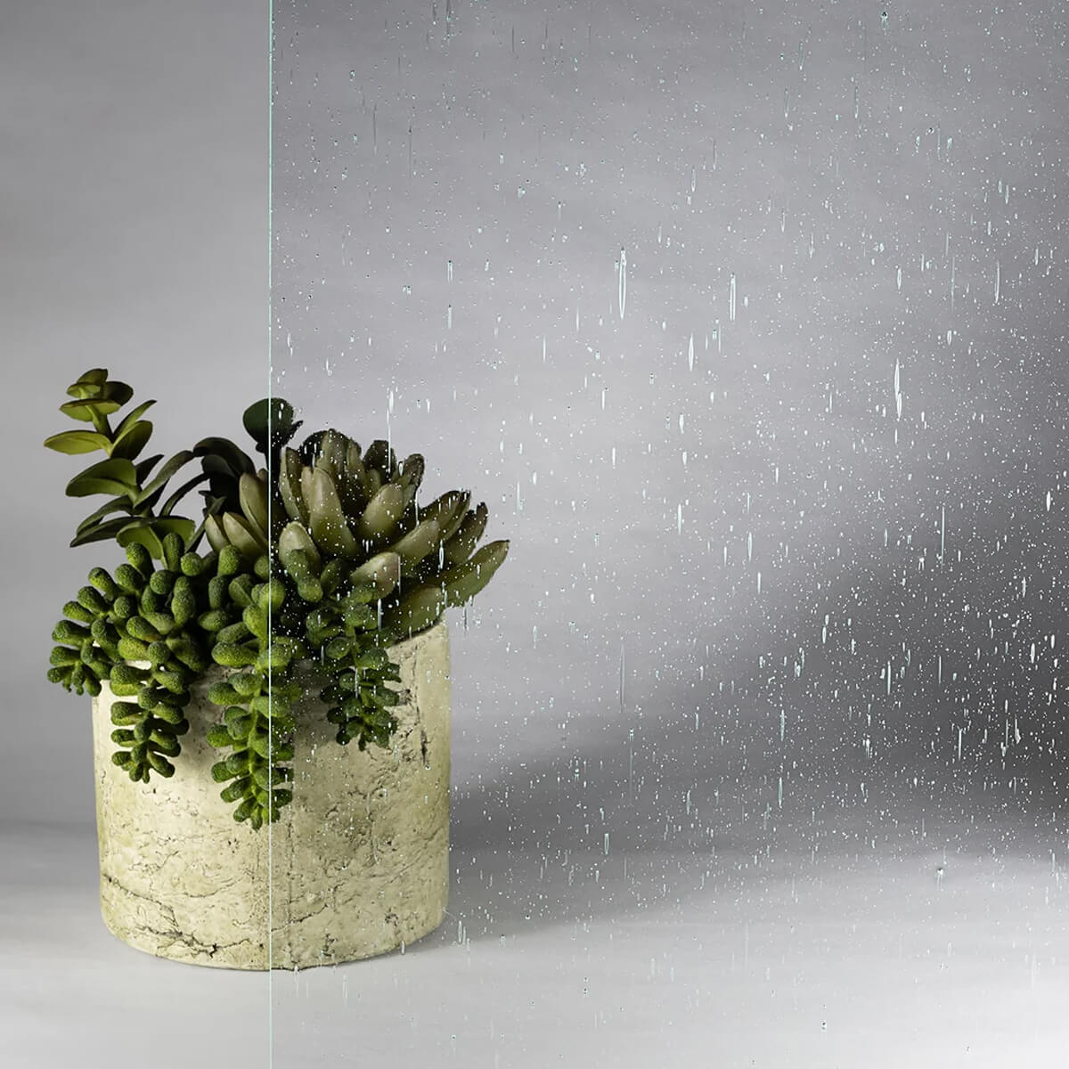 seedy glass